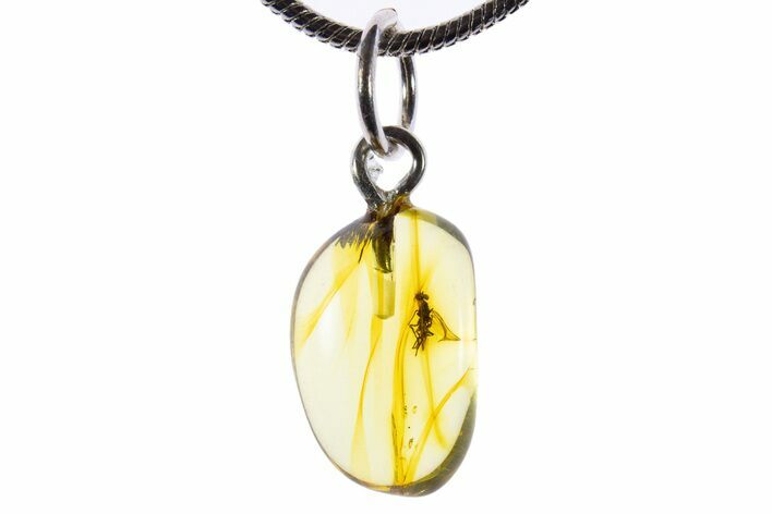 Polished Baltic Amber Pendant (Necklace) - Contains Fly! #339578